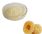 Tremella Fuciformis Powder