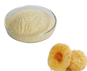 Tremella Fuciformis Powder