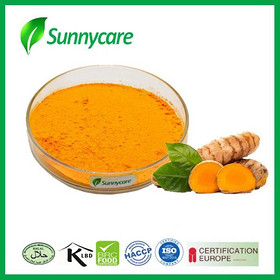 Turmeric Powder