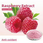 Raspberry Fruit Powder