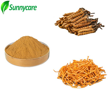 Cordyceps Powder