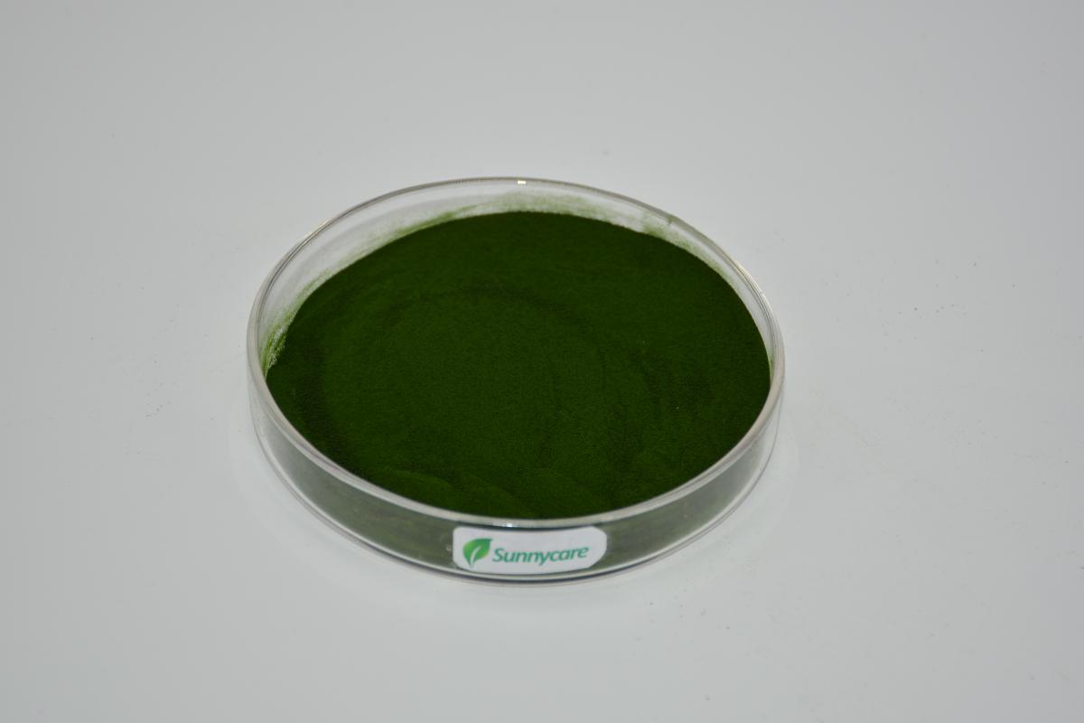Spirulina Powder