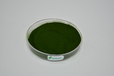Spirulina Powder