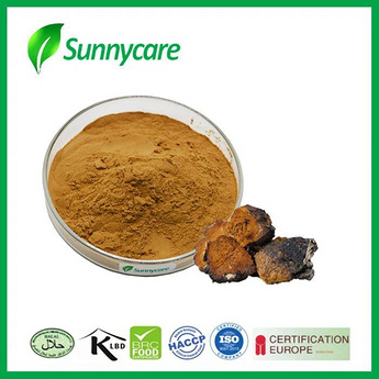 Chaga Powder