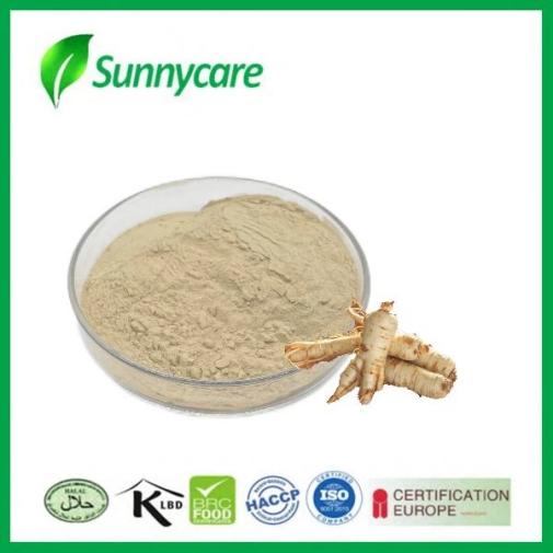 Ginseng Extract (Ginsenosides 1%-45%HPLC)