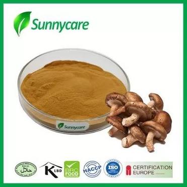 Shitake Mushroom Extract
