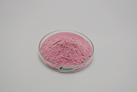 Cherry Fruit Powder