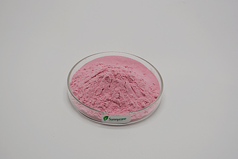 Cherry Fruit Powder