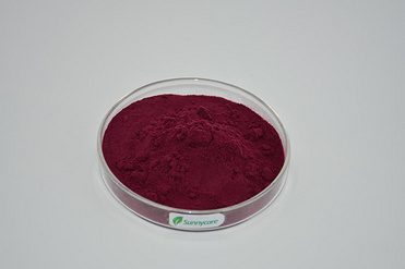 Red Beet Root Powder