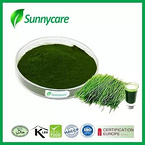 Wheat Grass Powder