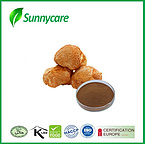 Lion's Mane Powder