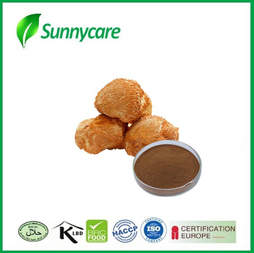 Lion's Mane Powder