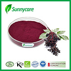 Elderberry Fruit Juice Powder