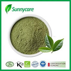 Matcha Powder