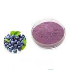 Blueberry Powder