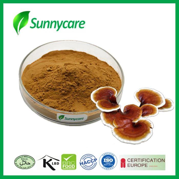 Reishi Mushroom Extract