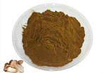 Pleurotus eryngii Powder