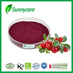Cranberry Powder