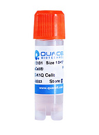 CHO-K1Q Cell Line