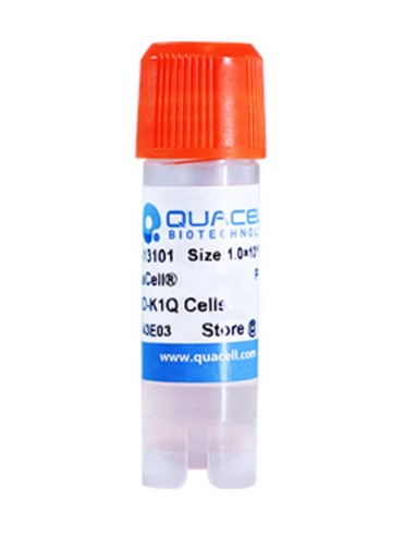 CHO-K1Q Cell Line