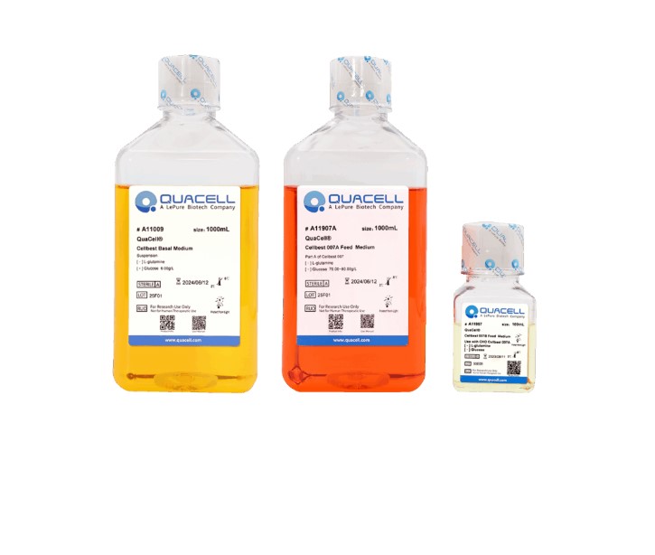 QuaCell® CellBest Basal Medium