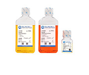 QuaCell® CellBest Basal Medium