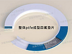 Glass lined pipe seal
