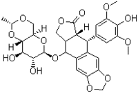 Etoposide