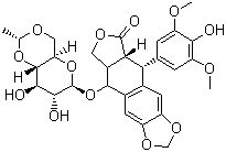 Etoposide