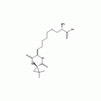 Cilastatin Acid