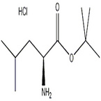 L-Leucine tert-butyl ester hydrochloride CAS: 2748-02-9