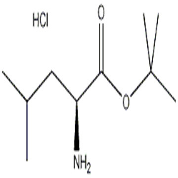 L-Leucine tert-butyl ester hydrochloride CAS: 2748-02-9