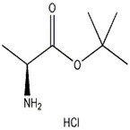 L-Alanine tert-butyl ester hydrochloride CAS: 13404-22-3