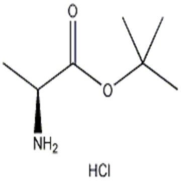 L-Alanine tert-butyl ester hydrochloride CAS: 13404-22-3