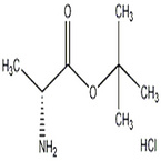 D-Alanine tert-butyl ester hydrochloride/H-D-Ala-OtBu.HCl CAS: 59531-86-1 