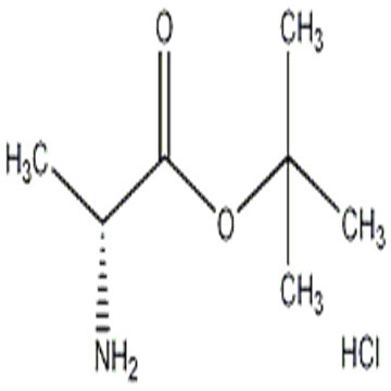 D-Alanine tert-butyl ester hydrochloride/H-D-Ala-OtBu.HCl CAS: 59531-86-1 