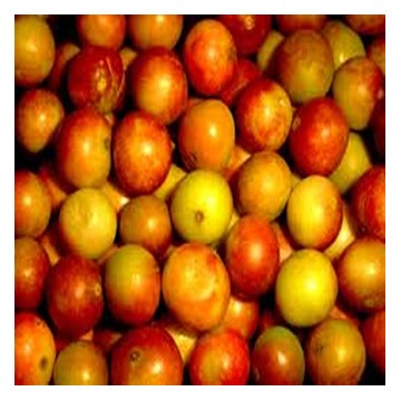 Camu camu Extract 