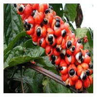 Guarana extract