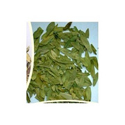 8%total glucoside Sanna Leaf Extract 