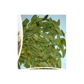 8%total glucoside Sanna Leaf Extract 