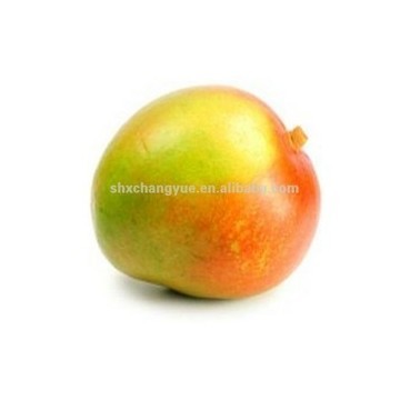 Irvingia gabonensis african mango extract