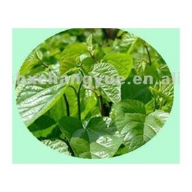 1%-95% 1-Deoxynojirimycin (DNJ) Mulberry Leaf Extract 