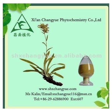 Arnebia root extract with 30% shikoni