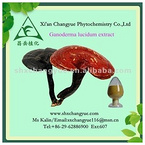 Ganoderma Lucidum Extract (20% ganoderma lucidum polysaccharides) 