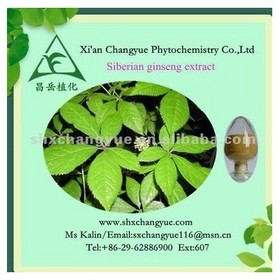 Eleuthero Root Extract Siberian Ginseng Extract 0.8% Eleutheroside B+E 