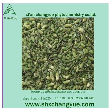 antioxidant properties sophora japonica flower extract 