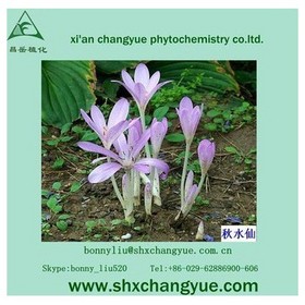 factory price high quality colchicine 98% 