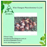 Horse Chestnut Extract 97% Aescigenin 