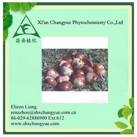 Horse Chestnut Extract 97% Aescigenin 