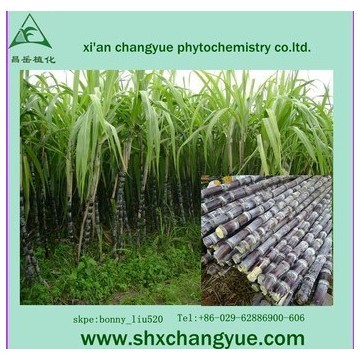 pure natural sugarcane wax extract 